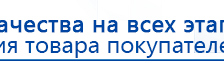 Дэнас Орто купить в Канске, Аппараты Дэнас купить в Канске, Дэнас официальный сайт denasolm.ru